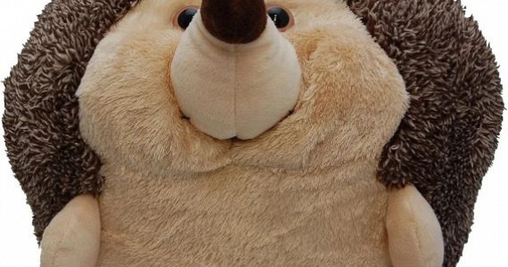 Cuddle Cushions